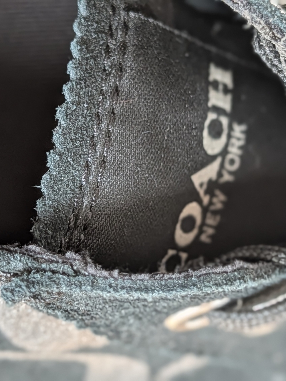 Coach Black Signature Canvas Low-Top Sneakers - Picture 5 of 5